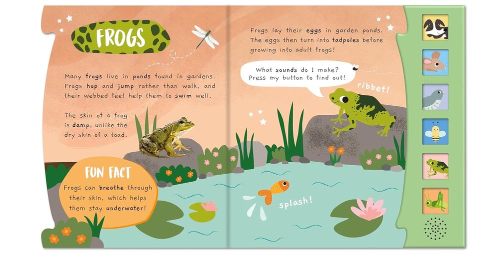 دار نشر نورث باريد - عجائب صغيرة - حديقة صاخبة - كتاب صوتي من 6 أجزاء