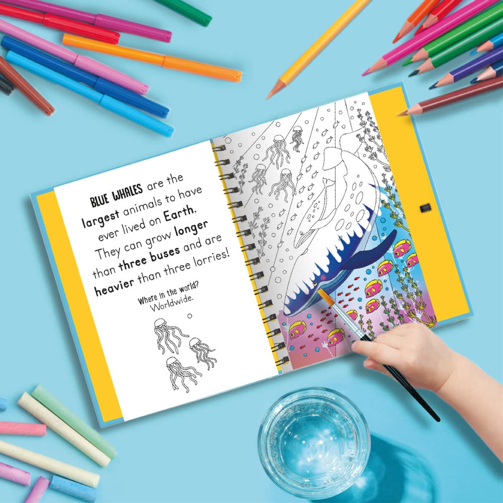 Magic Water Colouring - Splish and Splash - Under The Sea