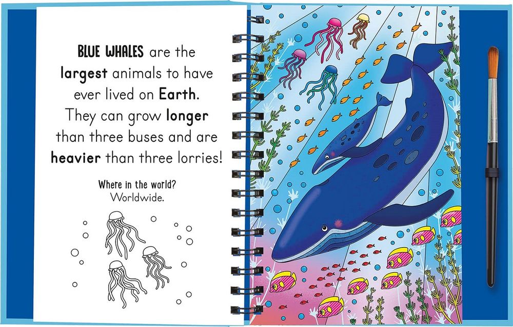 Magic Water Colouring - Splish and Splash - Under The Sea