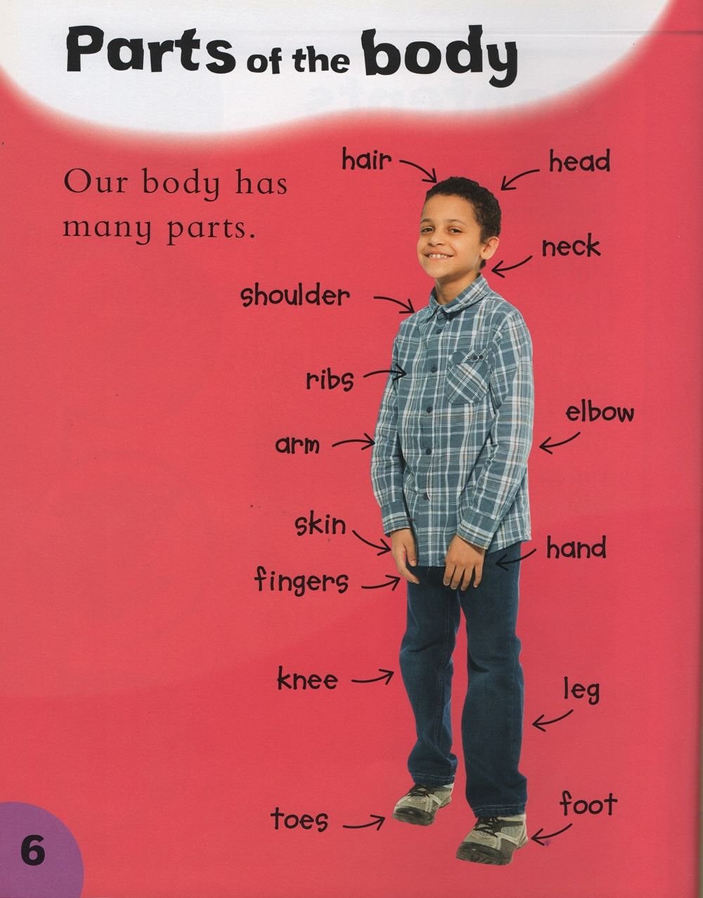 Ways Into Science: Your Body, Your Senses