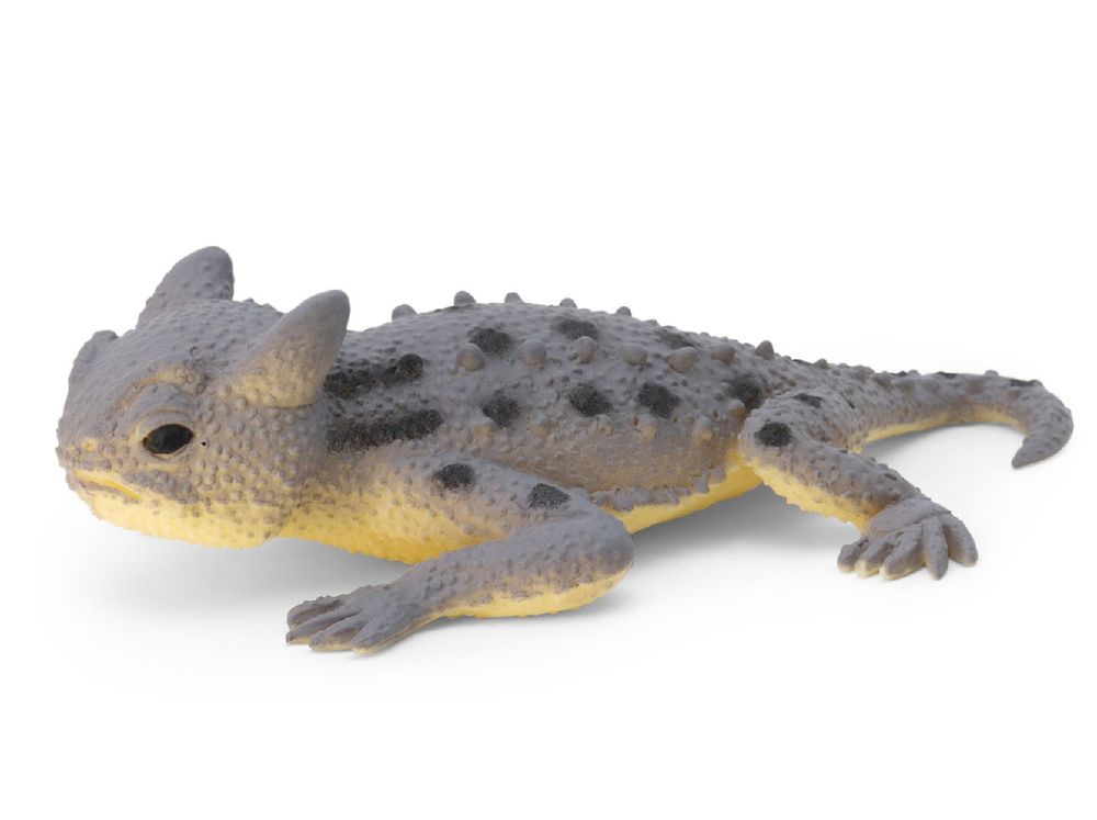 Tobar - Colour Changing Lizard - Style May Vary - 1Pc