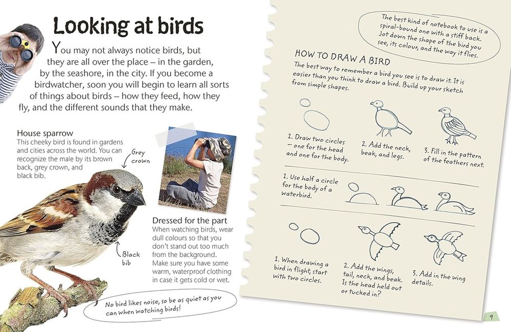 Birds: Explore Nature With Fun Facts And Activities