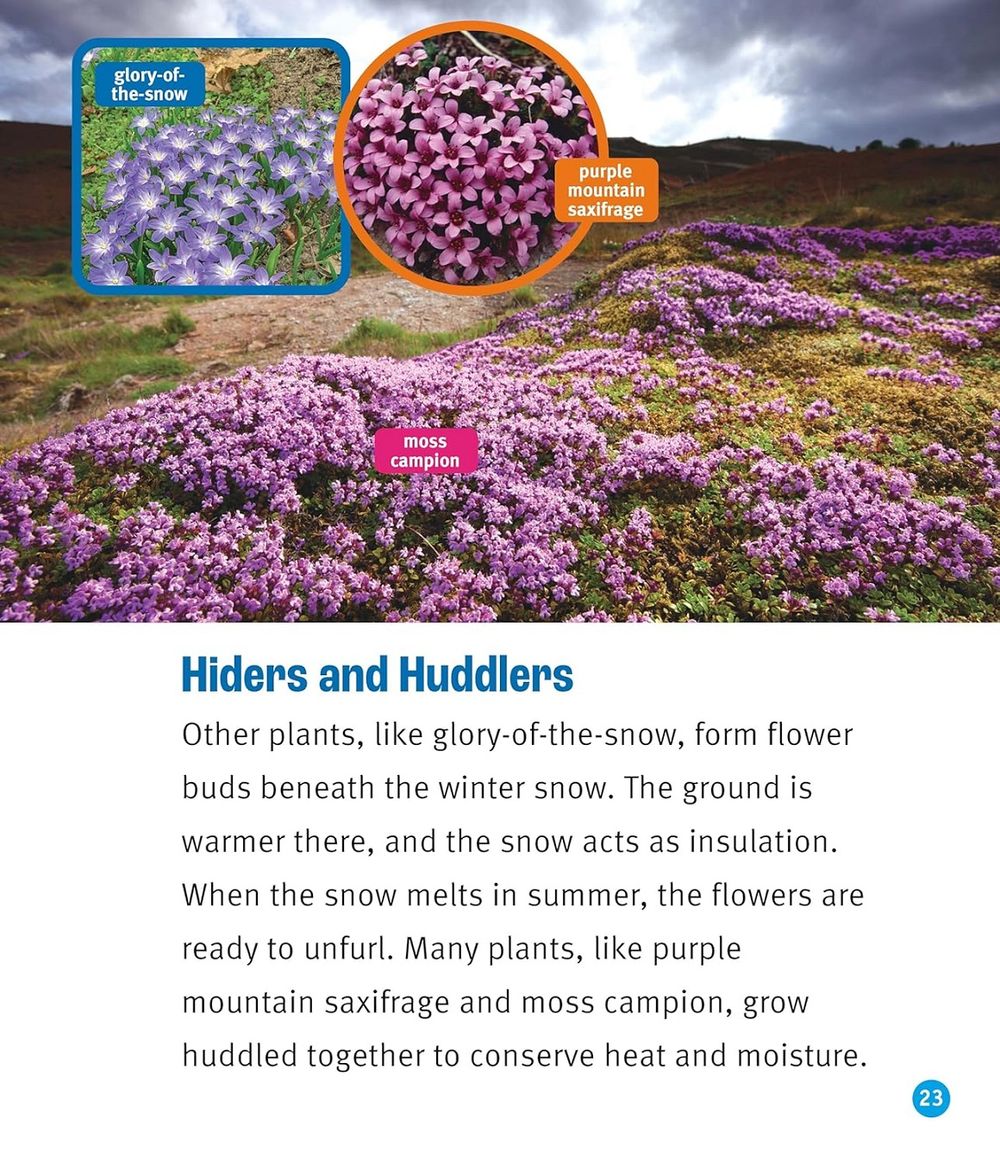 كتاب حقيقي - الأرض في خطر: التندرا في خطر