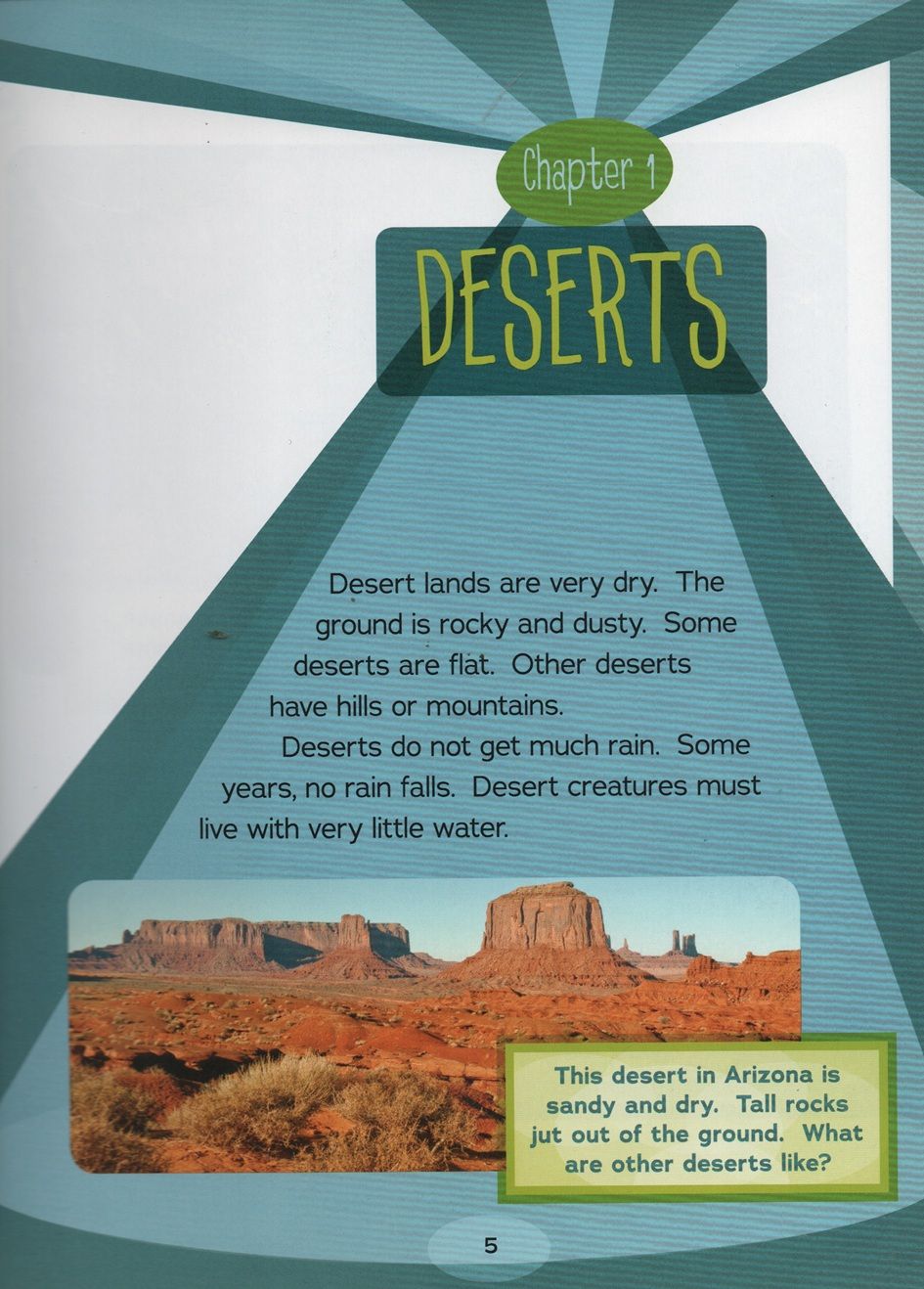 Desert Food Webs In Action