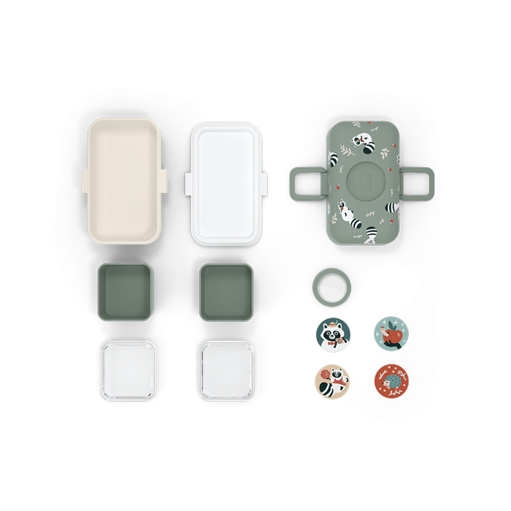 مونبينتو - صندوق بينتو للأطفال تريزور - راكون أخضر