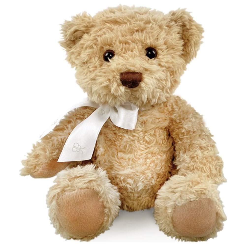 Babyblooms - 11pc-Set - Bertie's New Baby Boy Gift Basket - Blue