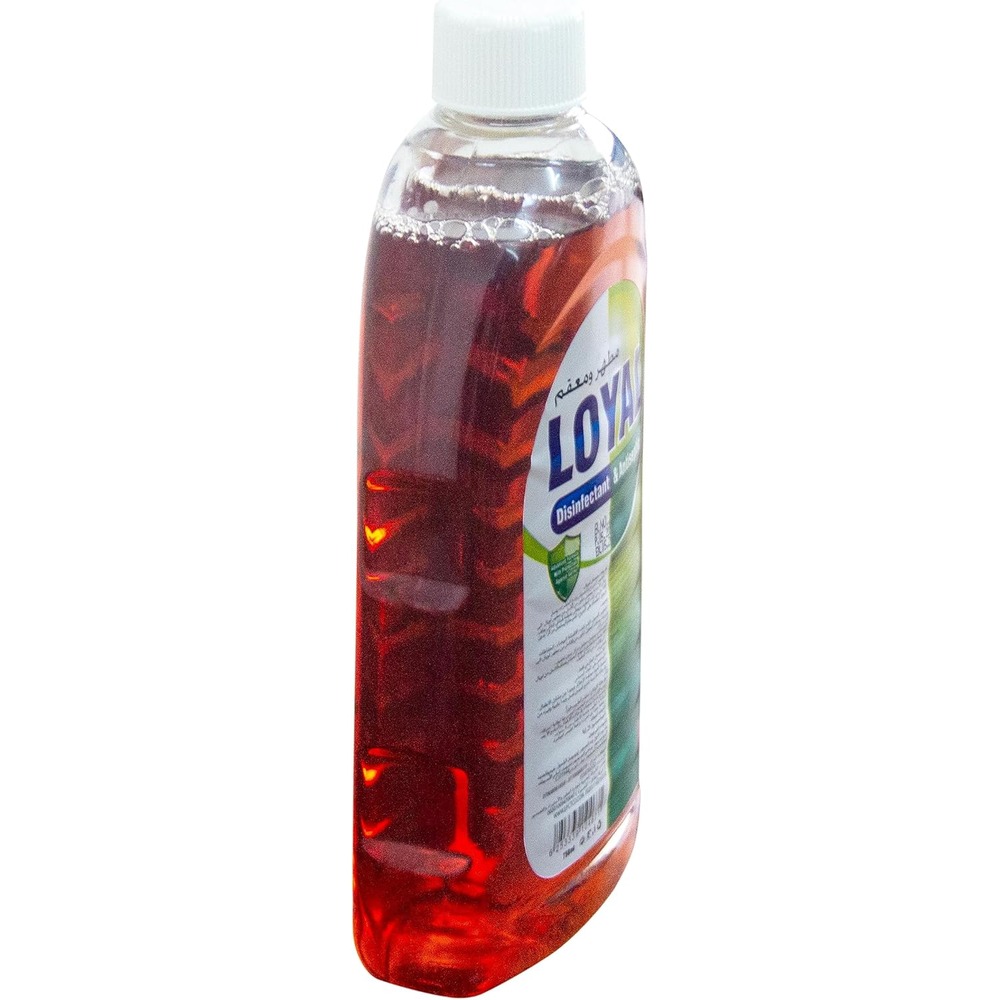 Loyal - Disinfectant & Antiseptic Liquid - 750 ml