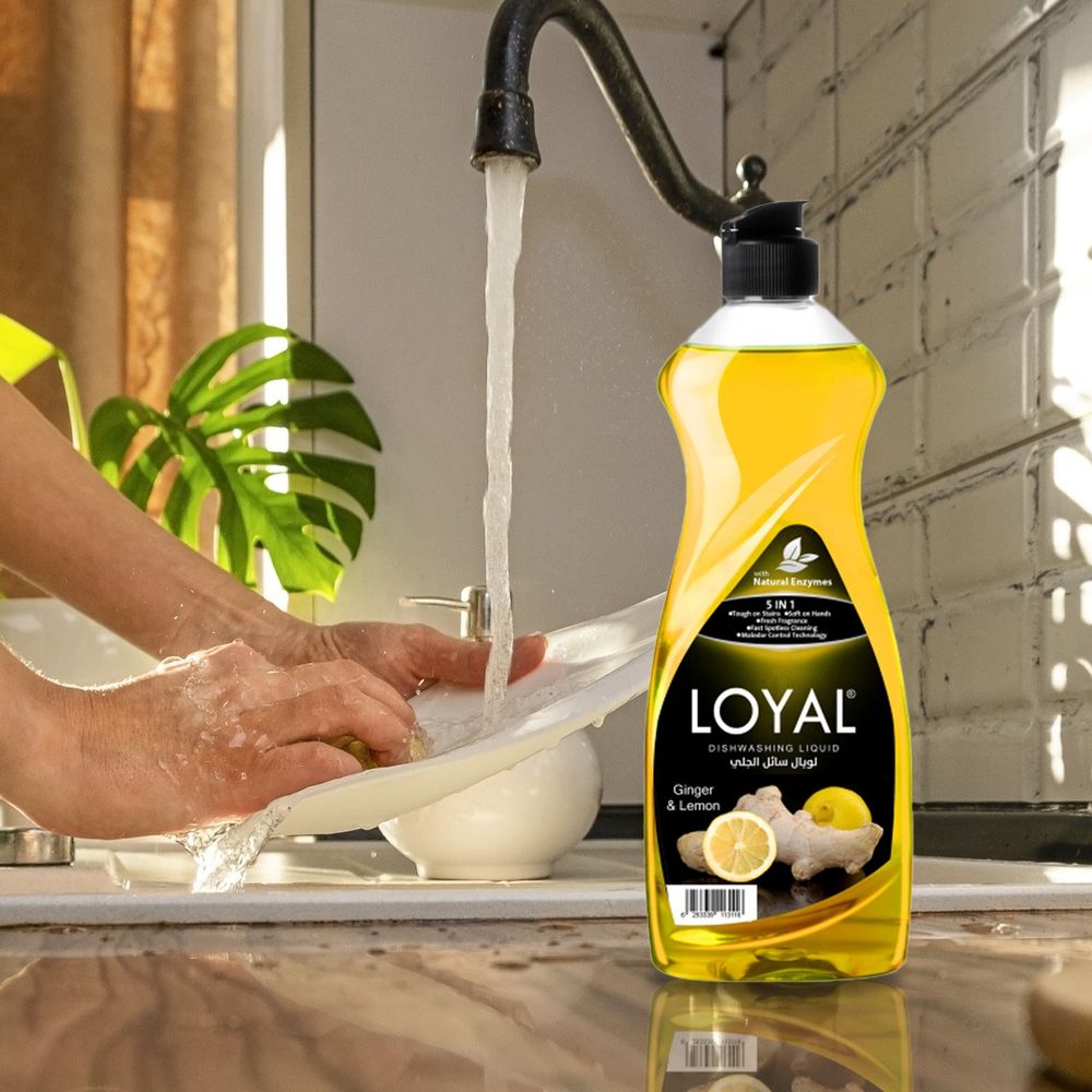 Loyal Ginger & Lemon Dishwashing Liquid - 700 ml