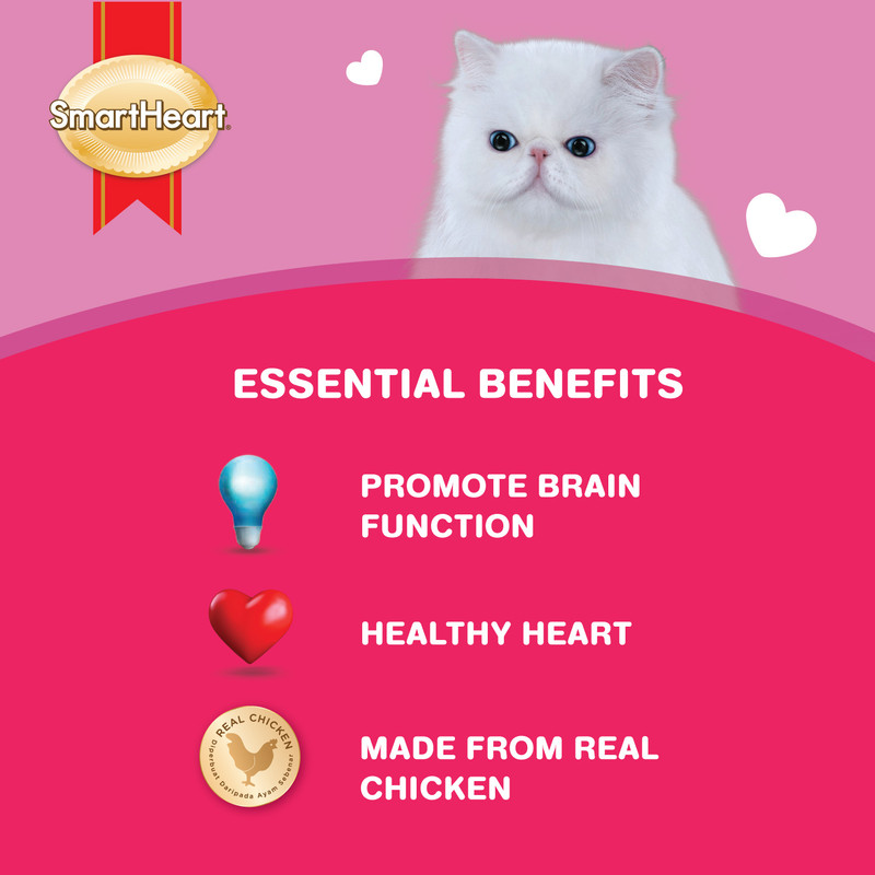 سمارت هارت - طعام رطب للقطط البالغة بنكهة الدجاج والأرز والجبن - 85 جم