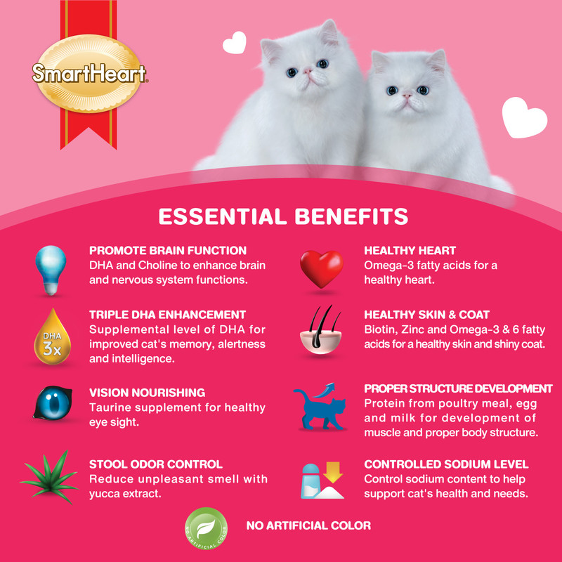 Smartheart - Kitten Dry Cat Food - 1.1 Kg