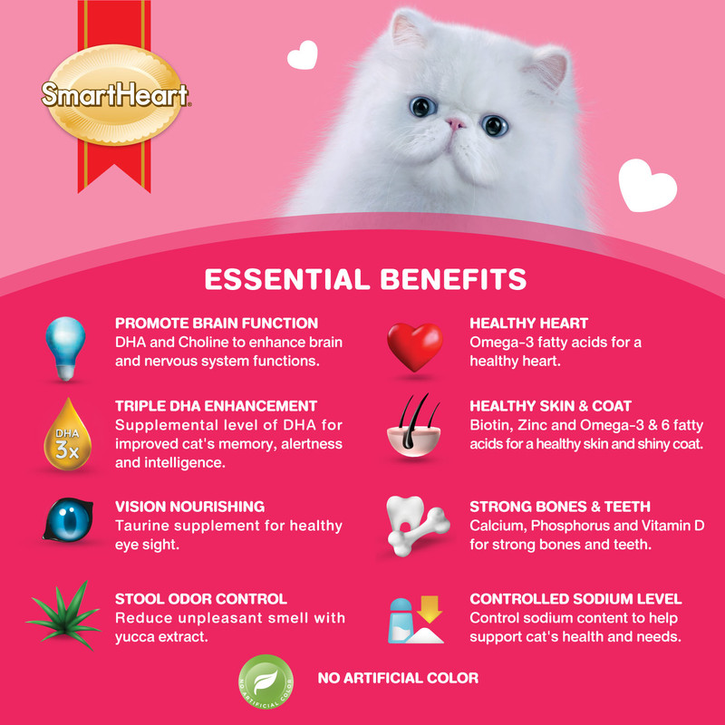 سمارت هارت - طعام جاف للقطط البالغة بالمأكولات البحرية - 1.2 كلغ