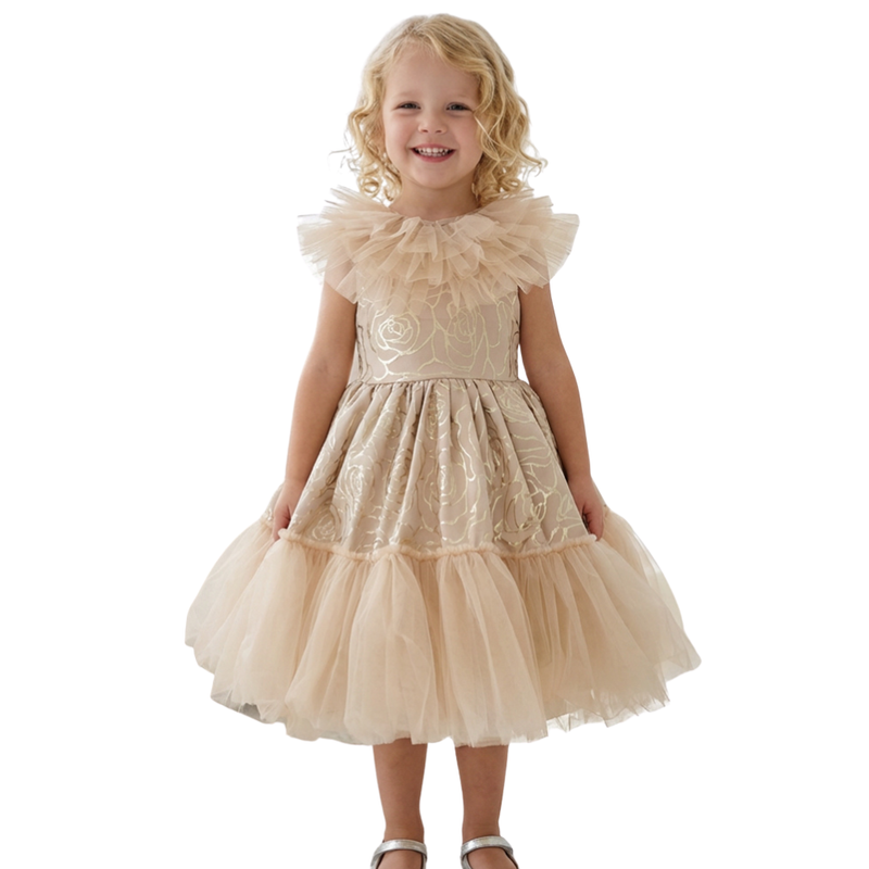 Le Crystal - Girl's Delicate Ruffle Tulle Party Dress - Beige