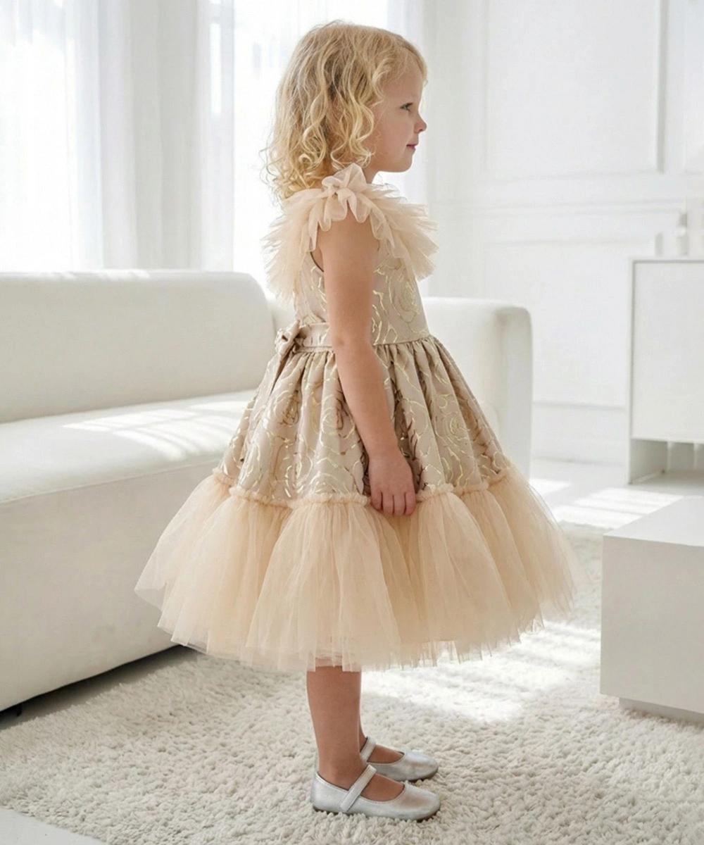 Le Crystal - Girl's Delicate Ruffle Tulle Party Dress - Beige