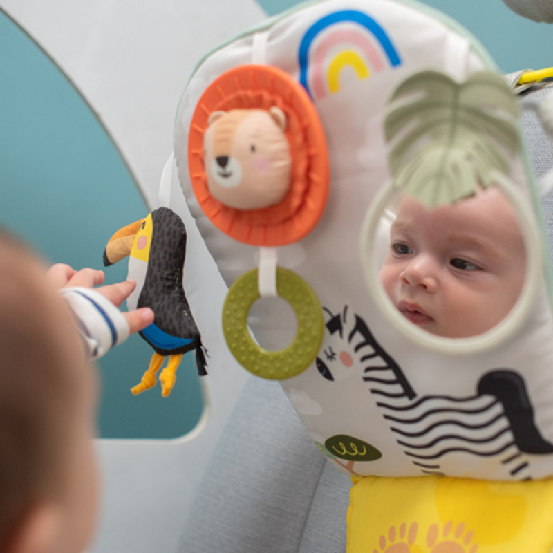 Taf Toys - Savannah Play & Kick