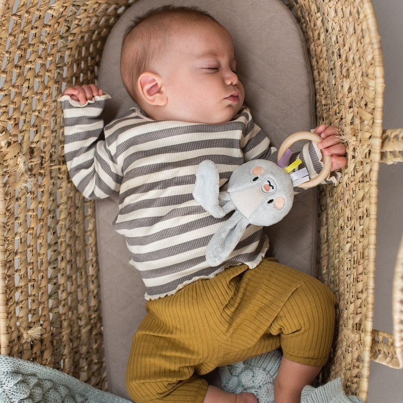 تاف تويز - خشخيشة أرنب رايلي