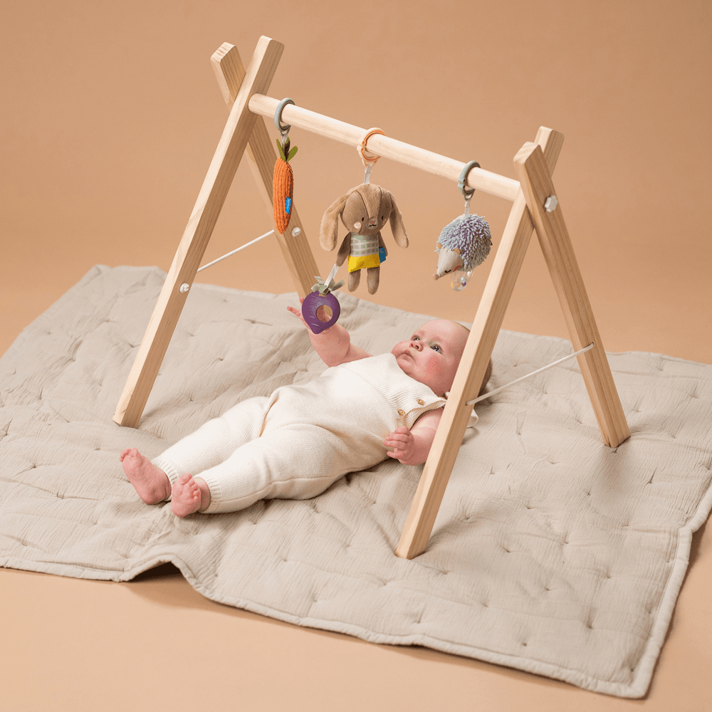 Taf Toys - Hello Baby Activity Toys Kit - 3pcs