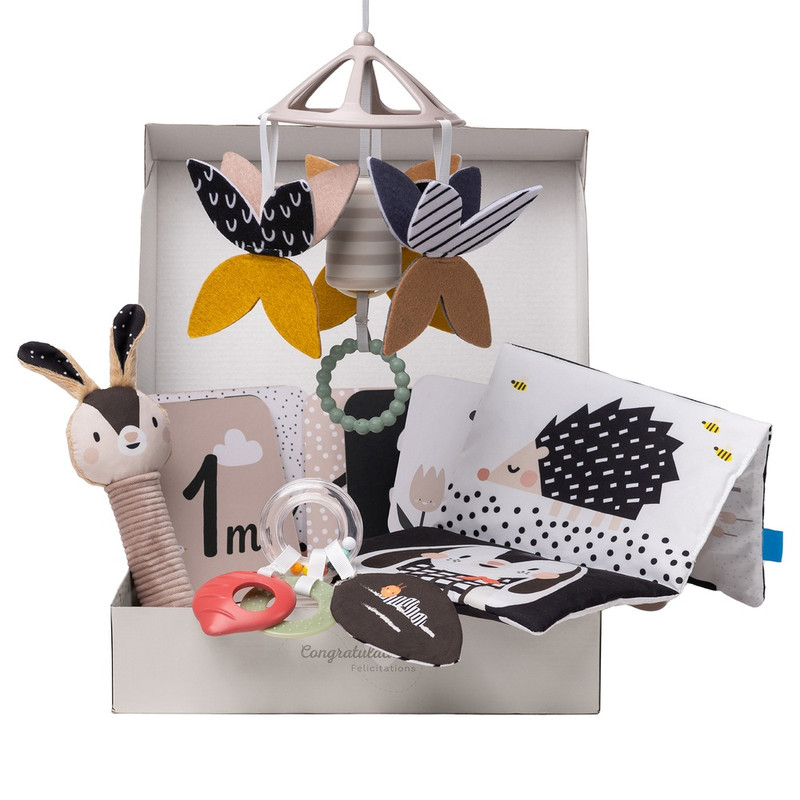 تاف تويز - ألعاب حديثي الولادة متباينة الأبيض والأسود