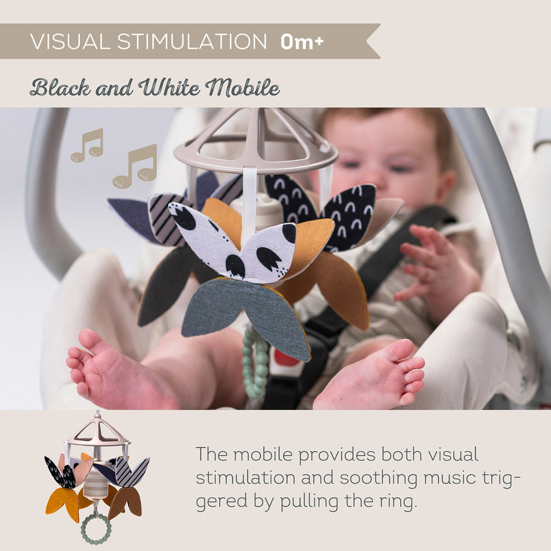 Taf Toys - Newborn Black & White Kit