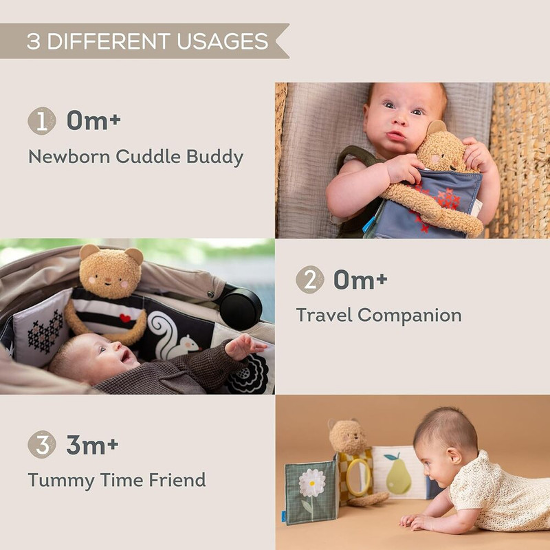 كتاب أنشطة الدببة المحتضنة من تاف تويز - متعدد الألوان