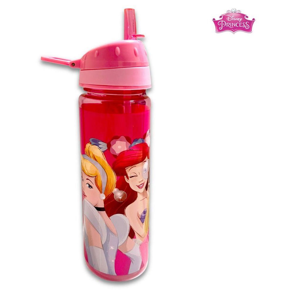 Disney - Princess See Good In All Things Water Bottle - 750 ml