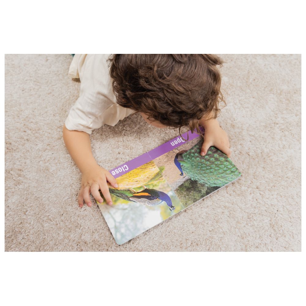 بيمبلي - مجموعة مونتيسوري التعليمية أهلا بعالم العجائب - 13 قطعة