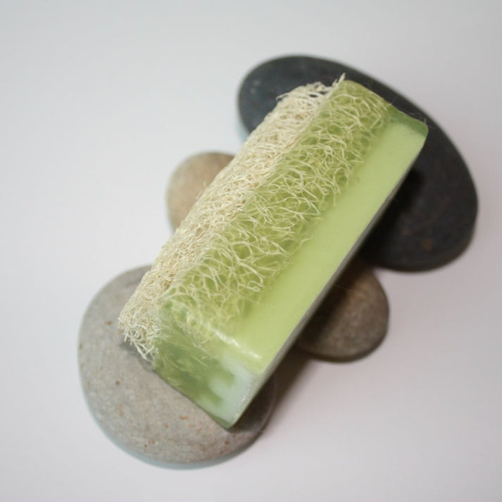 ZI Natural - Aloe Vera Loofah Body Care Soap - 100 g