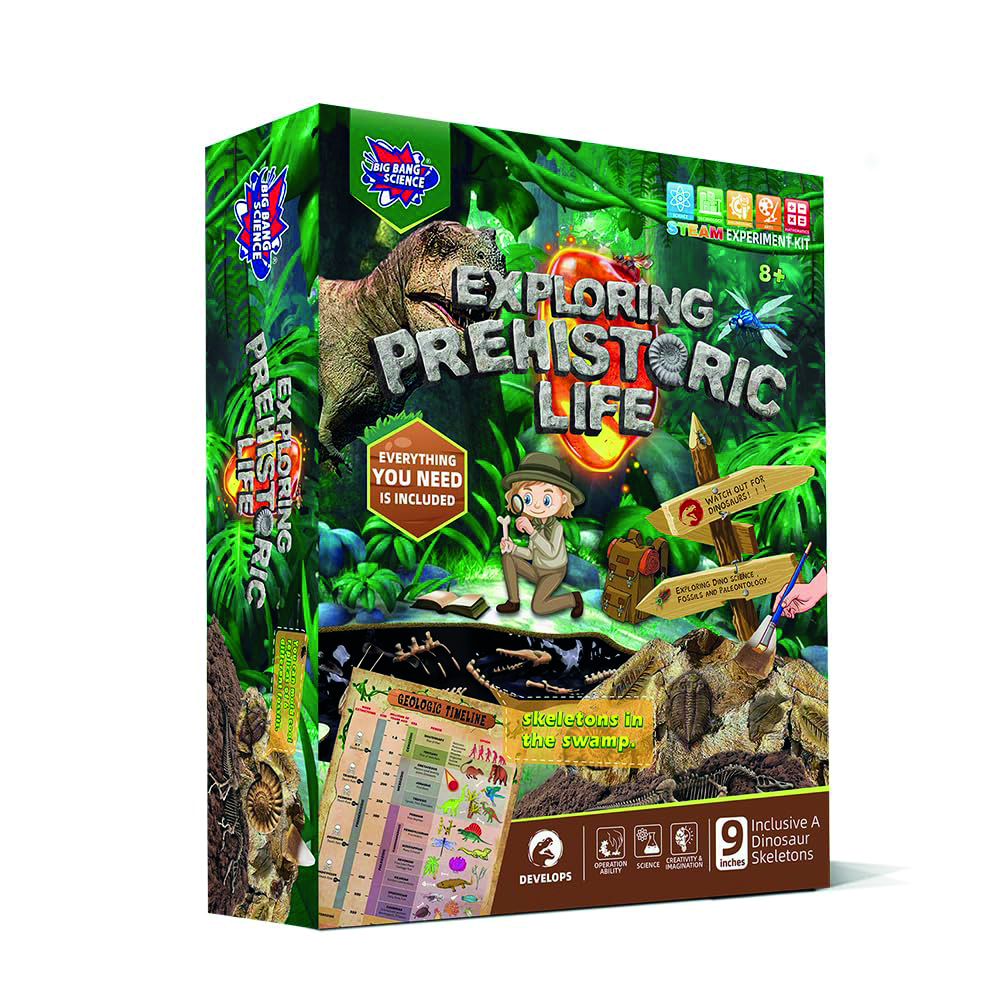 برين جيغلز - مجموعة تجارب علمية - استكشاف الحياة ما قبل التاريخ - 17 قطعة