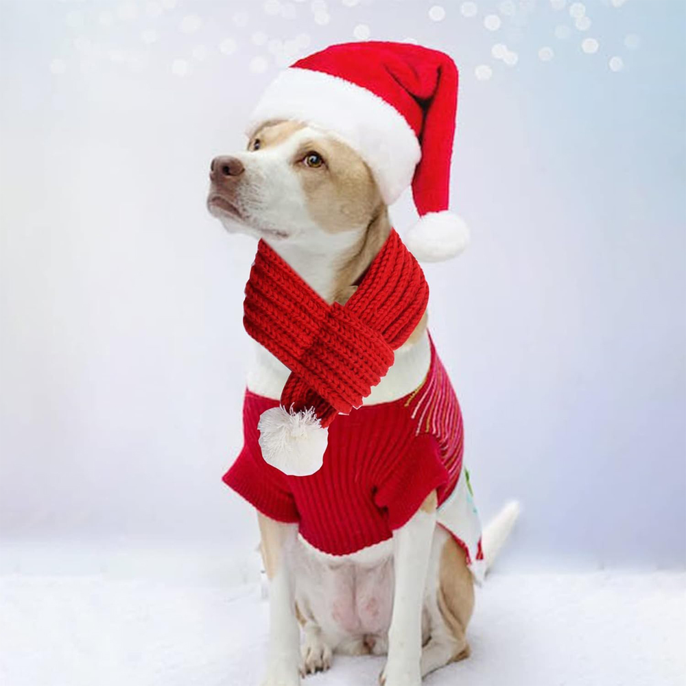 برين غيغلز - طقم من قطعتين - قبعة سانتا كلوز ووشاح لعيد الميلاد للحيوانات الأليفة - أحمر - صغير