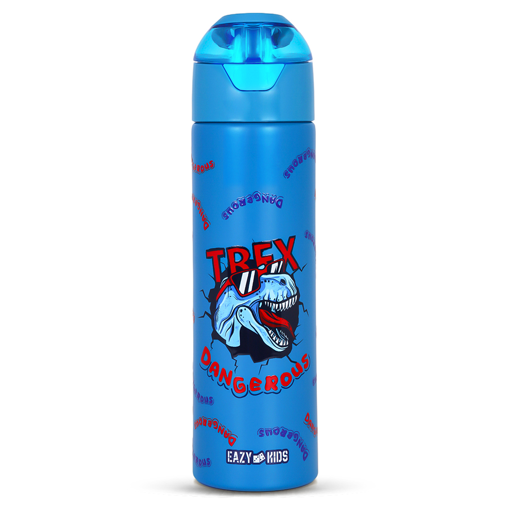Eazy Kids - Insulated Steel Water Bottle With Spray - Dino - 640ml
