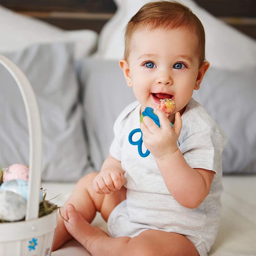Baybee Silicone Fruit Feeder Nibbler Pacifier & Handle