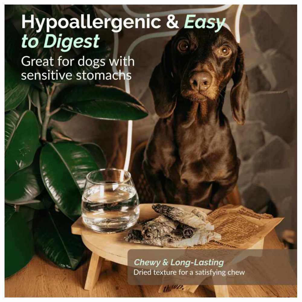 أو تو بيتس - مكافآت للكلاب سوبر سناك - رقائق سمك - 70 غرام