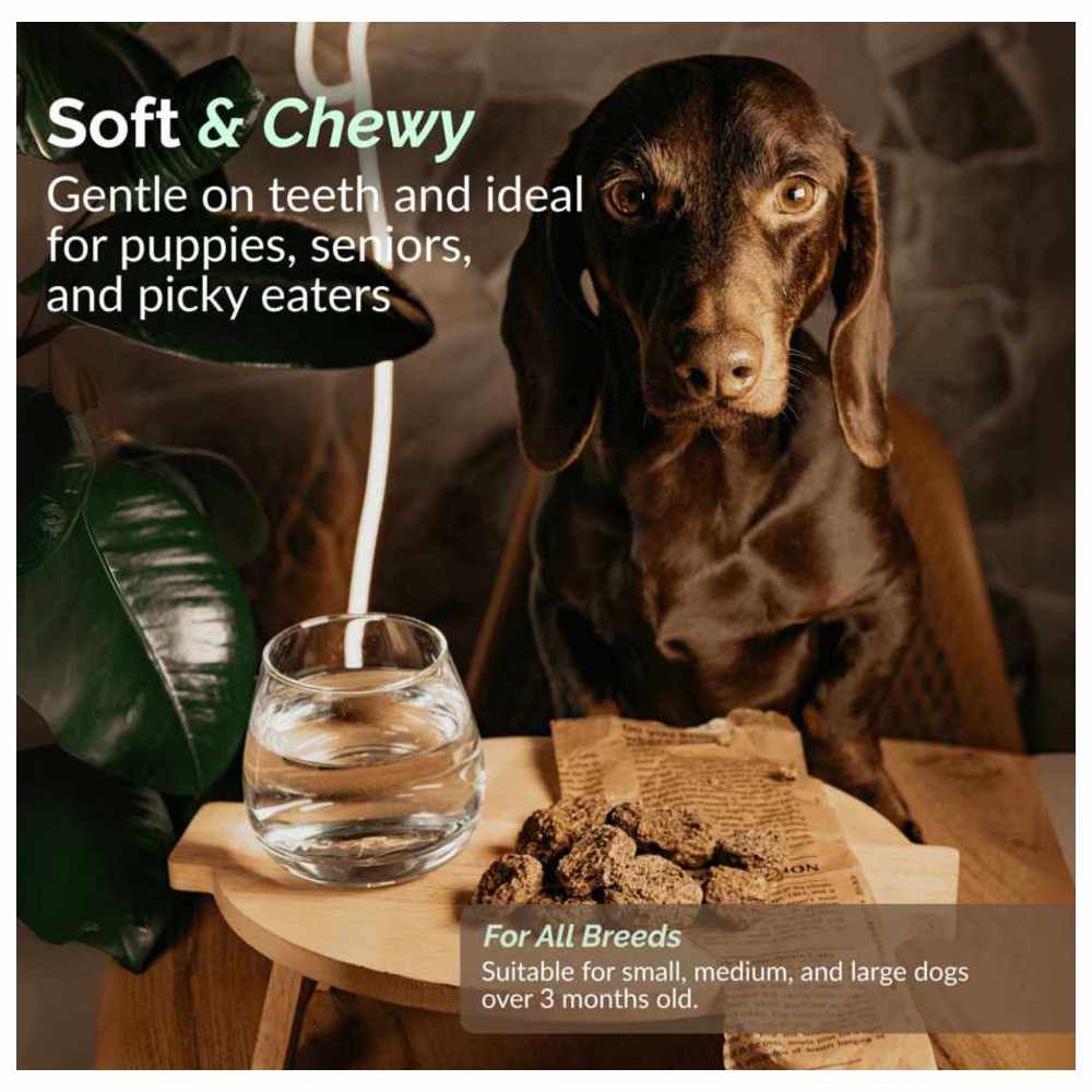 أو تو بيتس - مكافآت للكلاب سوبر سناك - كرات لحم ديك رومي مع اليقطين - 90 غرام