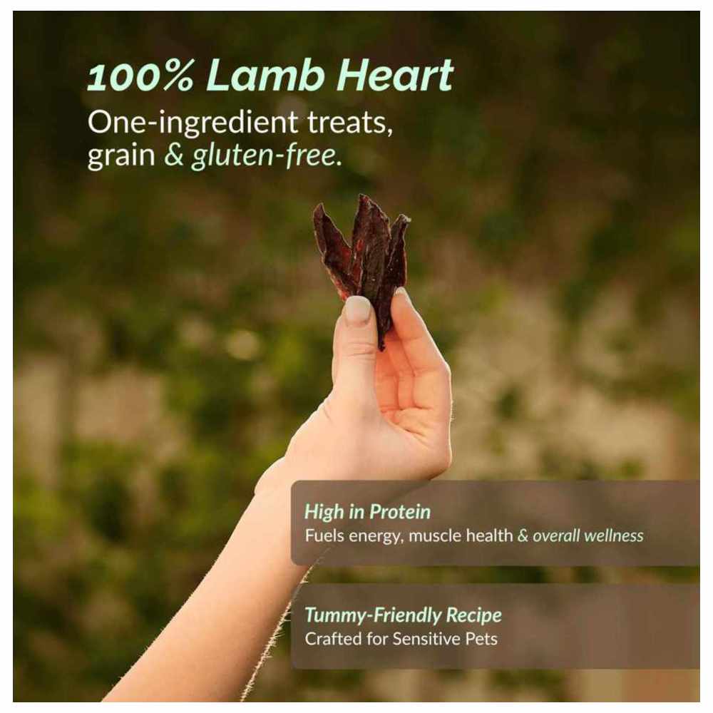 أو تو بيتس - مكافآت للكلاب سوبر سناك - رقائق لحم غنم - 70 غرام