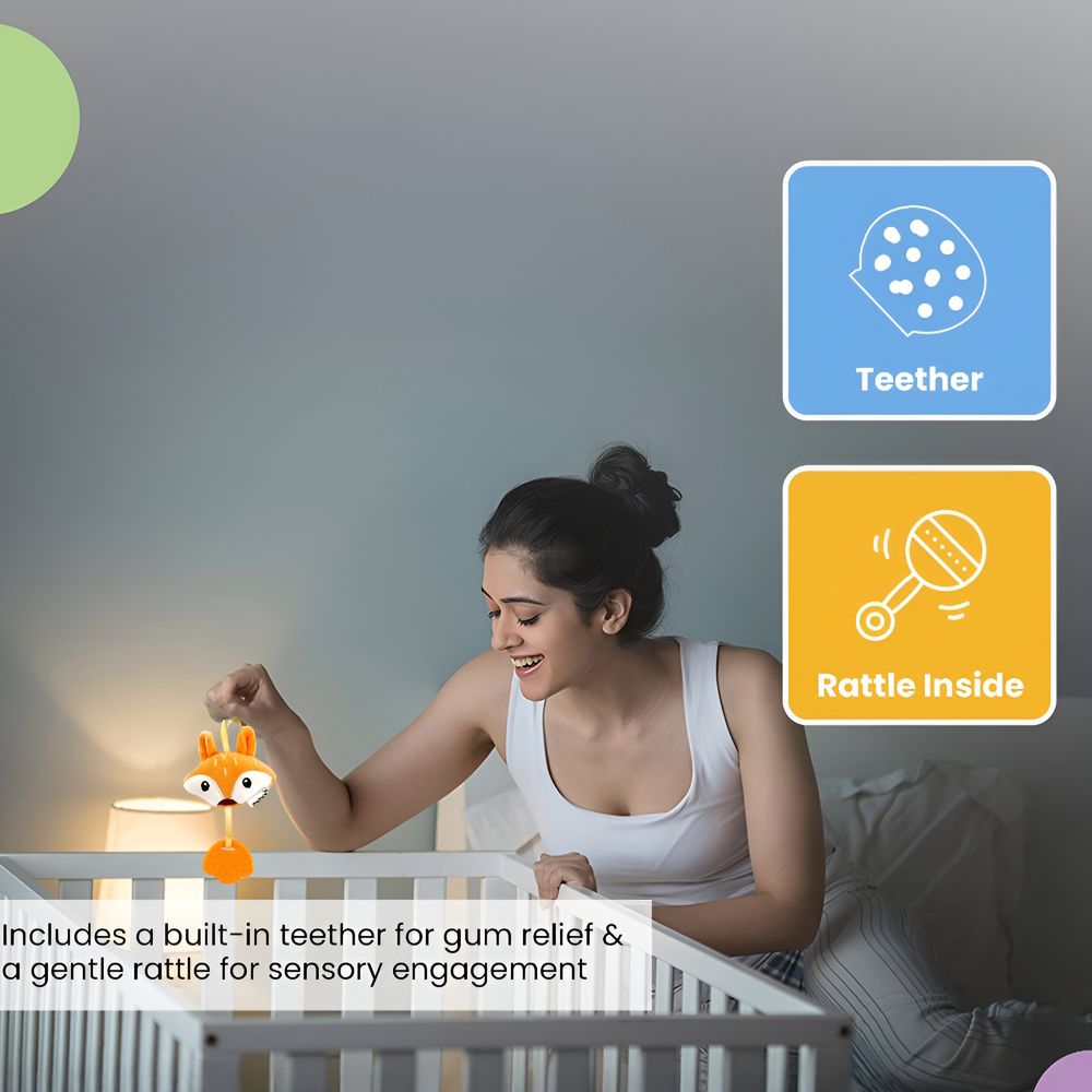 نولوف - عضاضة الثعلب 