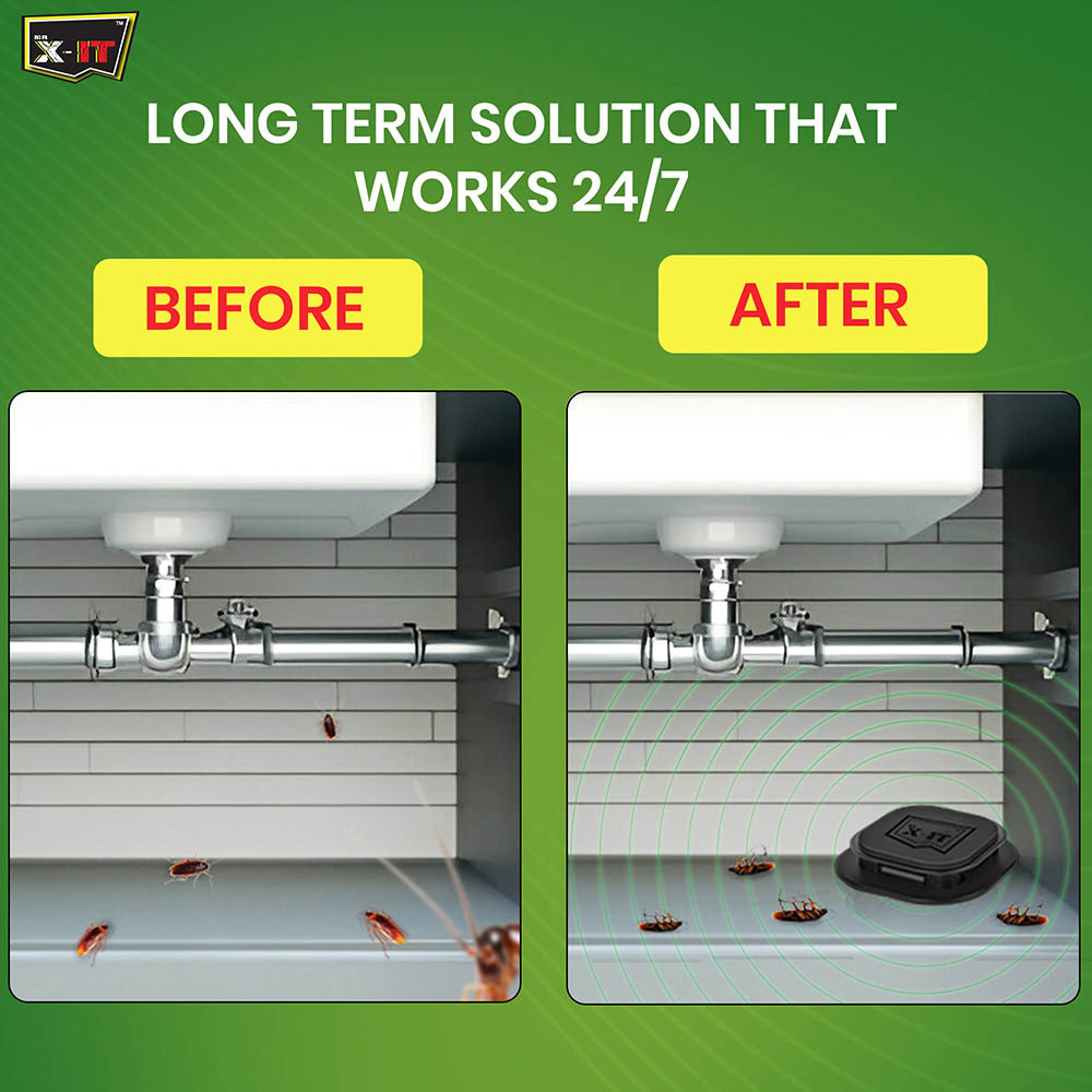 مستر إكس-إت - طعم طارد للصراصير - عدد 6