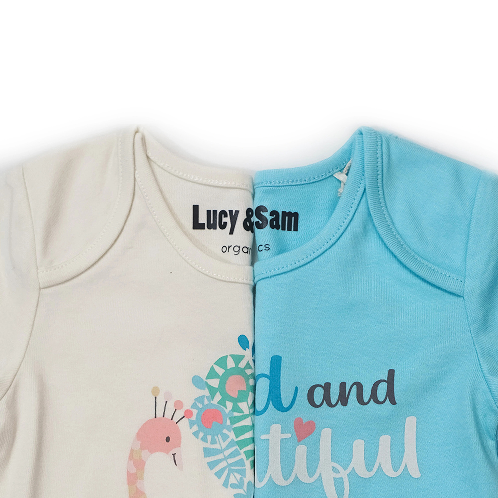 Lucy & Sam - 2pc-Set - Baby Boy's Bold And Beautiful Bodysuit - Blue