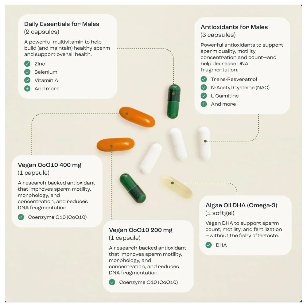 Ovasave - Male Power Prenatal With 600mg CoQ10 Softgels - 240 Pcs