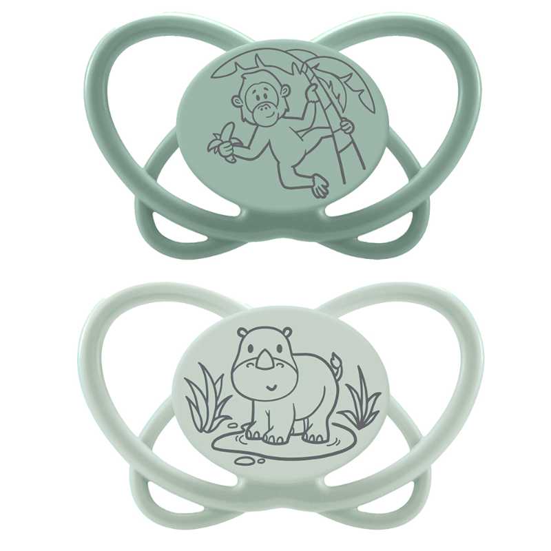 Nip - Butterfly Soother With Sterilizer Box - 16-32M - 2pcs - Turquoise/Grey