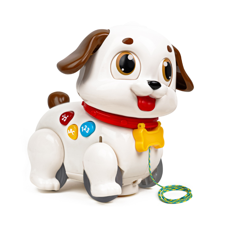 Hola - Crawl & Pull Along Learning Puppy - Multicolor