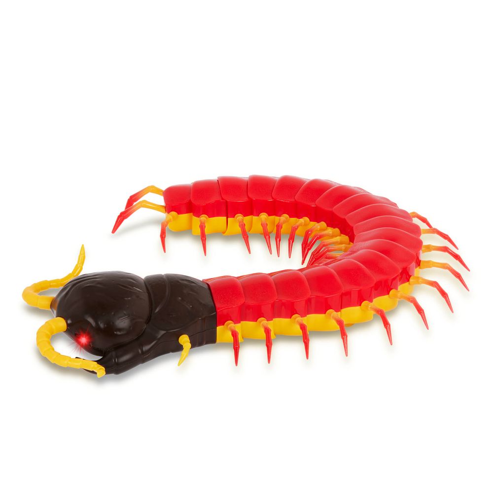 Terra - RC Centipede Giant Scolopendra - Red/Black