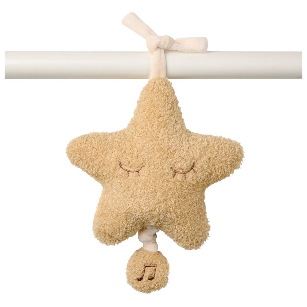 Nattou - Musical Cuddly Teddy - Etoile