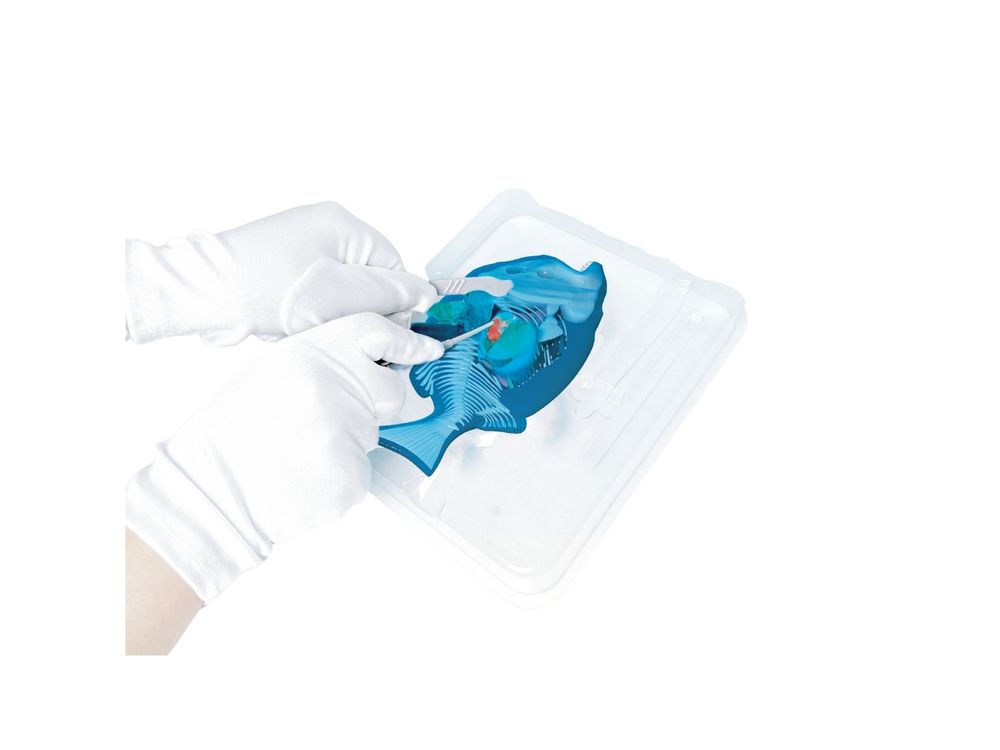 Slimy - Dissect-It Mega Lab - Frog & Piranha