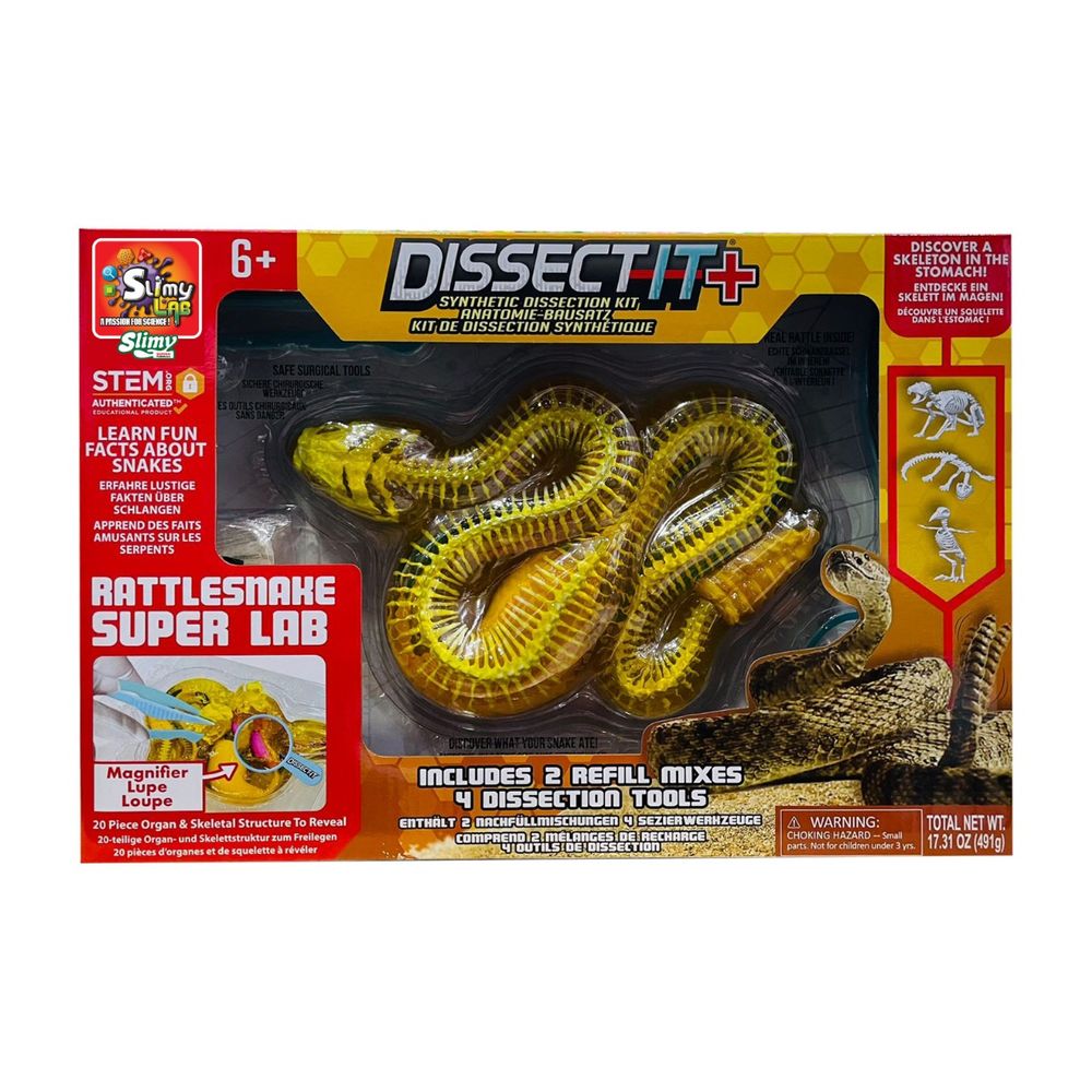 سلايمي - مختبر تشريح الأفعى الجرسية