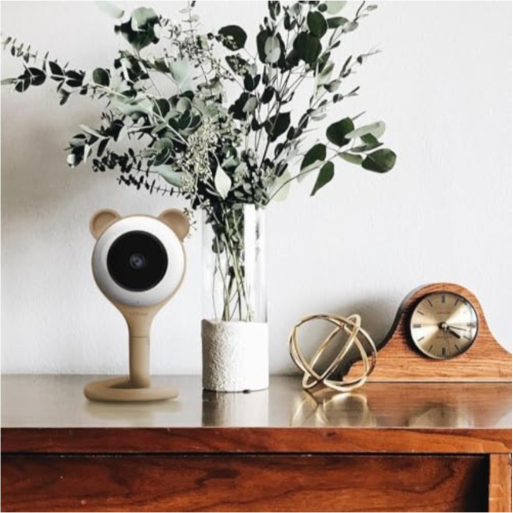 مصاصة - غلاف خارجي قابل للاستبدال - دب براوني - 20 سم