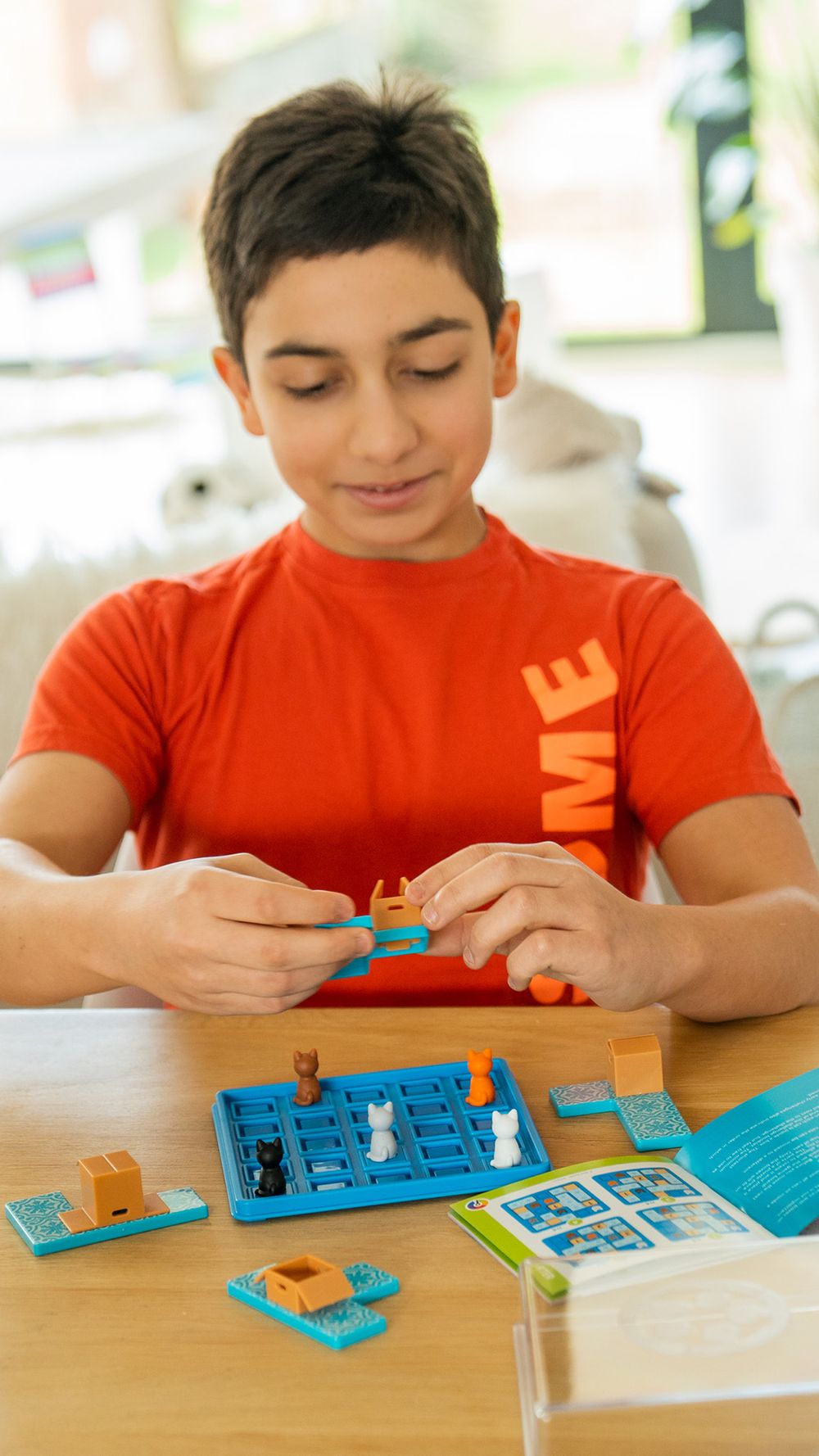 سمارت جيمز - بازل قطط وصناديق