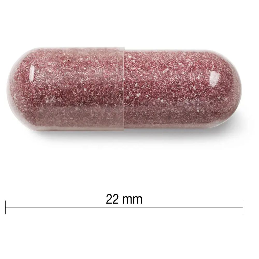جاميسون - كبسولات مركب الكرانبيري 500 ملجم - 60 كبسولة