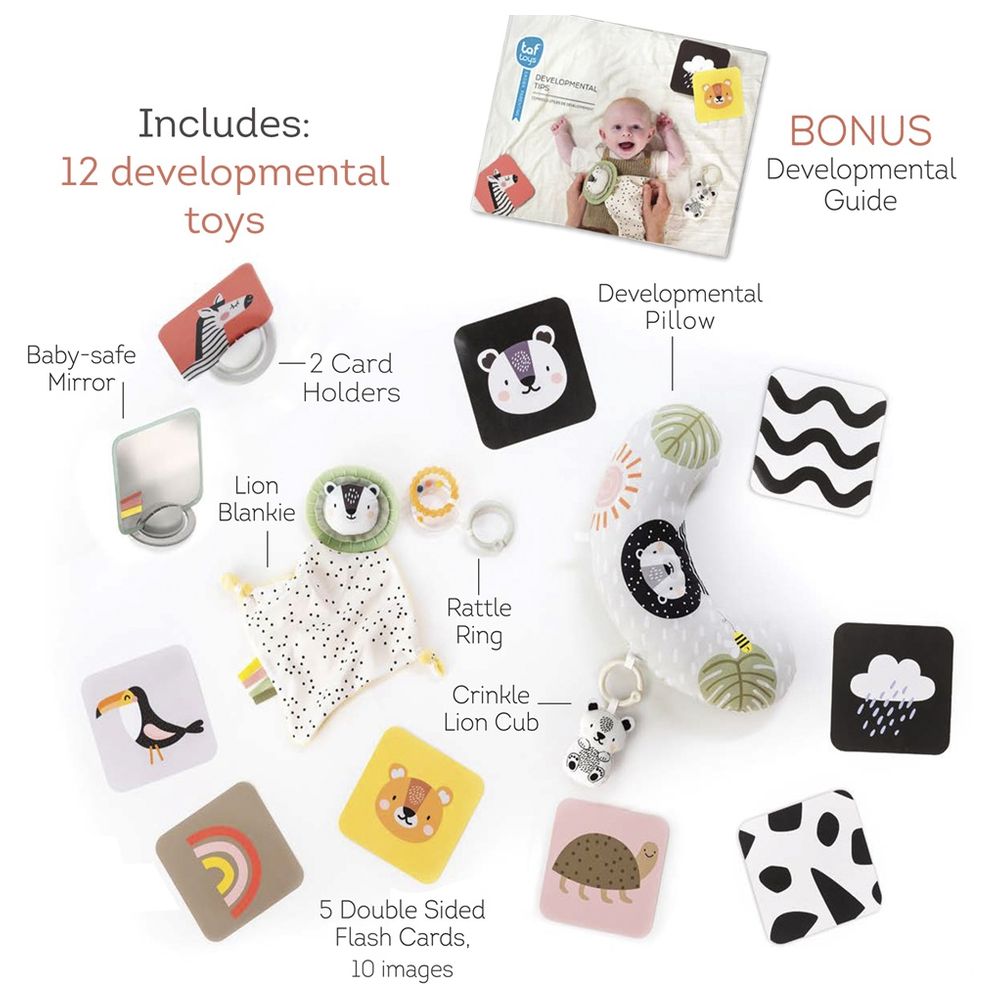 Taf Toy - Hello Baby Newborn Developmental Toy Kit - 12 Pcs