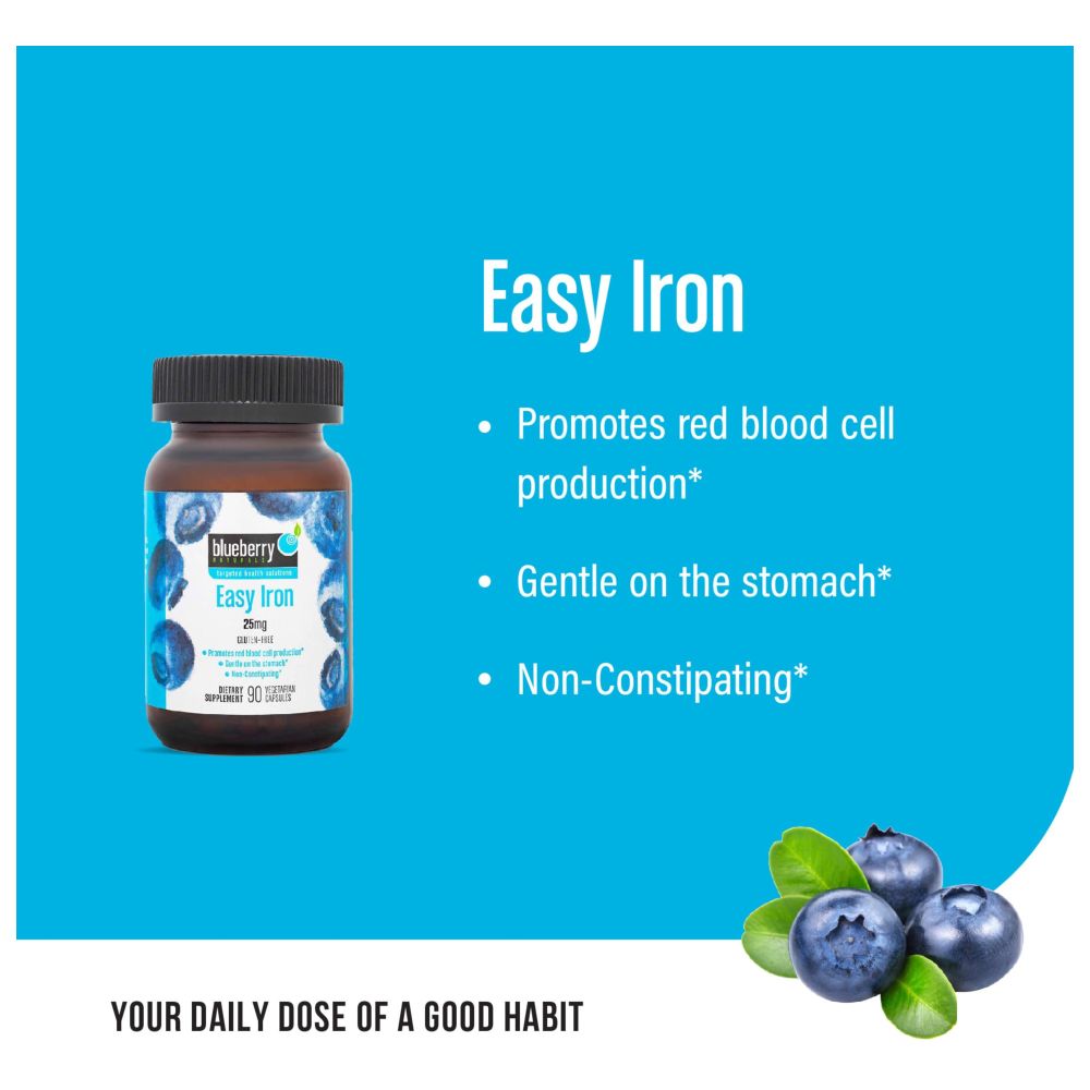 Blueberry Naturals - Easy Iron 25 Mg Tablets - 90 Pcs