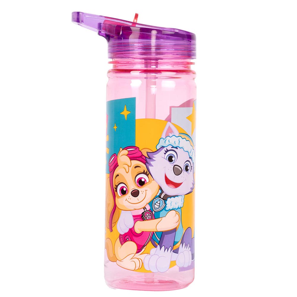 Fringoo - Plastic Bottle With Straw - Skye - 580 ml