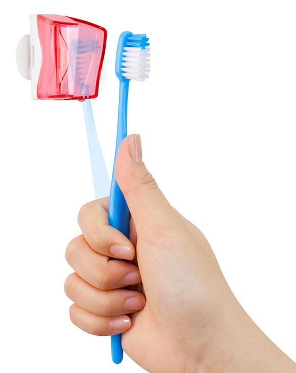 ماركة فليبر - حامل فرشاة الأسنان 2في1 - زهري وأزرق